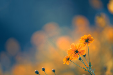 常州大学的宿舍条件如何-校区内有哪些生活设施-