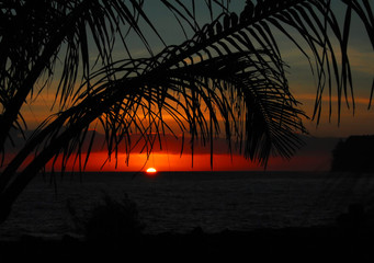 新能源汽车电机是交流还是直流