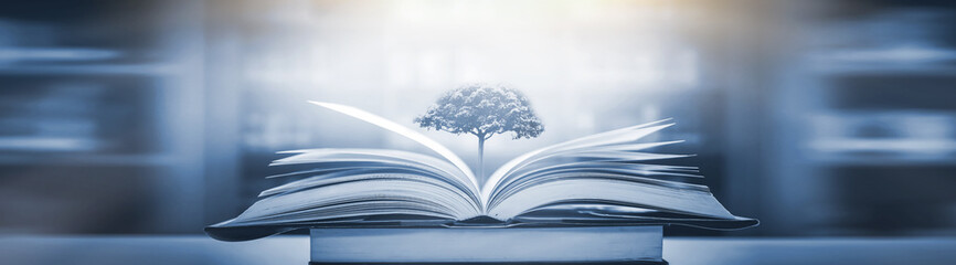 培训师的基本要求