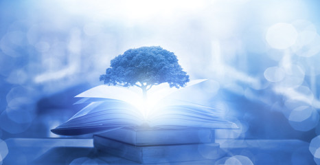 金牛座汽车热空调怎么开