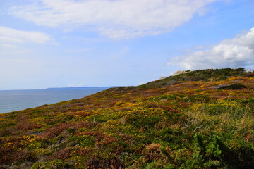 金牛座汽车热空调怎么开