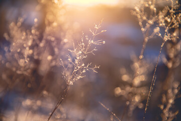 新能源汽车长时间停放应该注意些什么