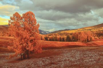 金牛座汽车热空调怎么开