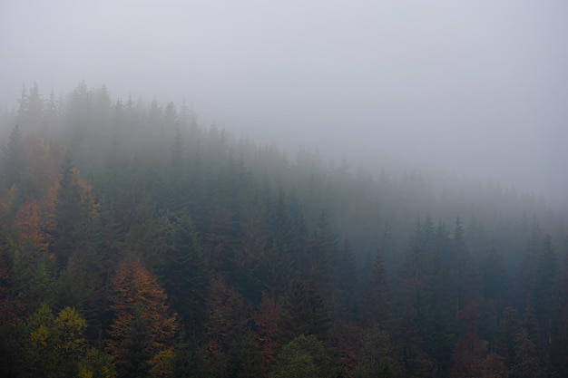 新能源汽车电机是交流还是直流