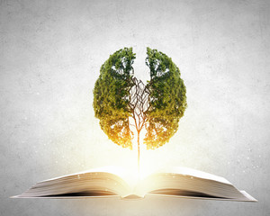 金牛座汽车热空调怎么开