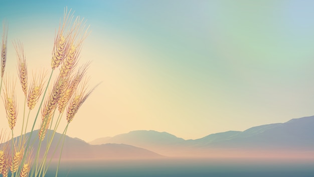 八仙的排名次序是怎么来的